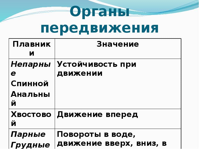 Работа плавников при движении рыбы в воде. Органы передвижения рыб таблица. Органы передвижения. Плавники и их функции. Класс рыбы органы передвижения.