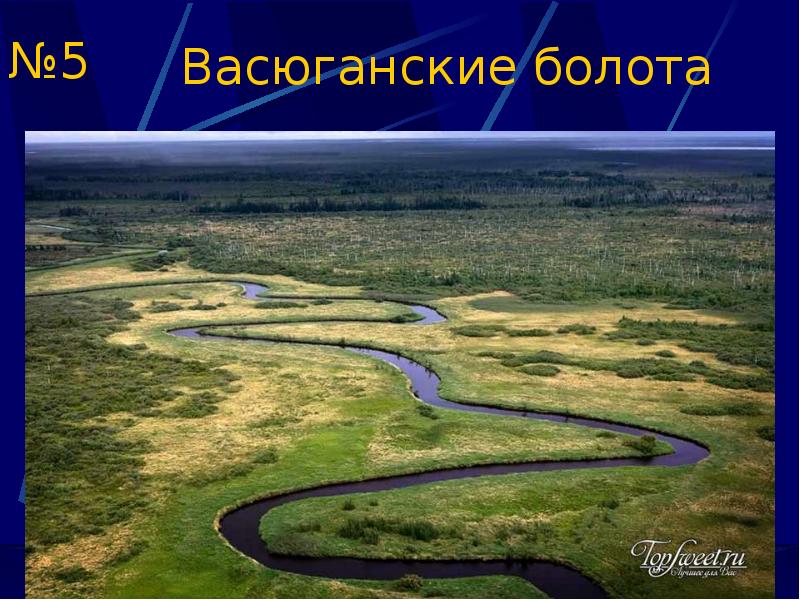 Васюганская рельеф. Васюганский заповедник на карте. Васюганский заповедник на карте России.