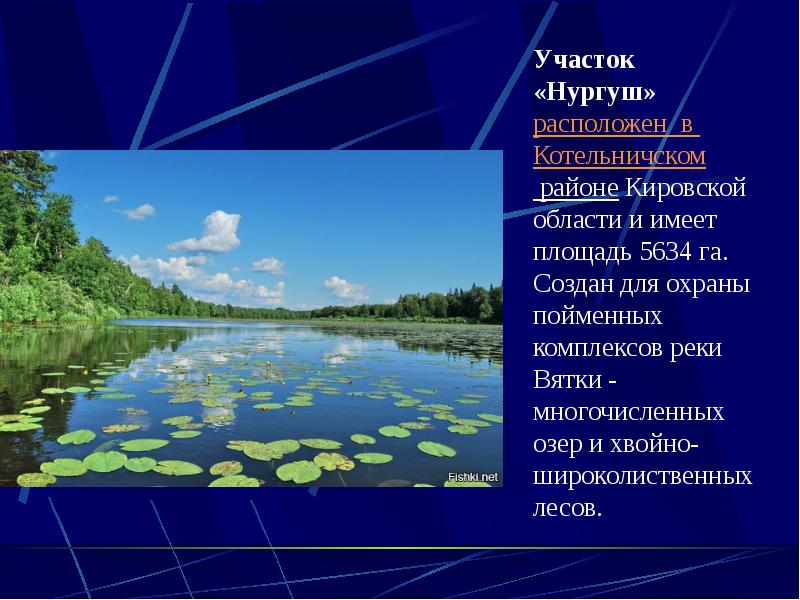 Заповедник нургуш презентация