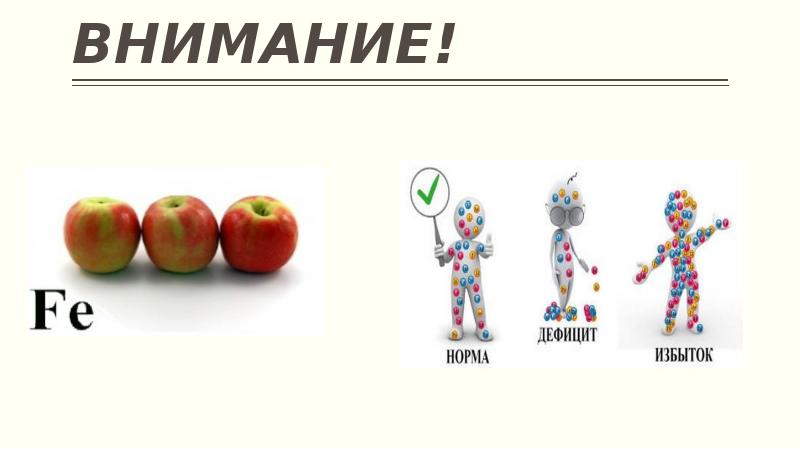 СПАСИБО ЗА ВНИМАНИЕ! СПАСИБО ЗА ВНИМАНИЕ!
