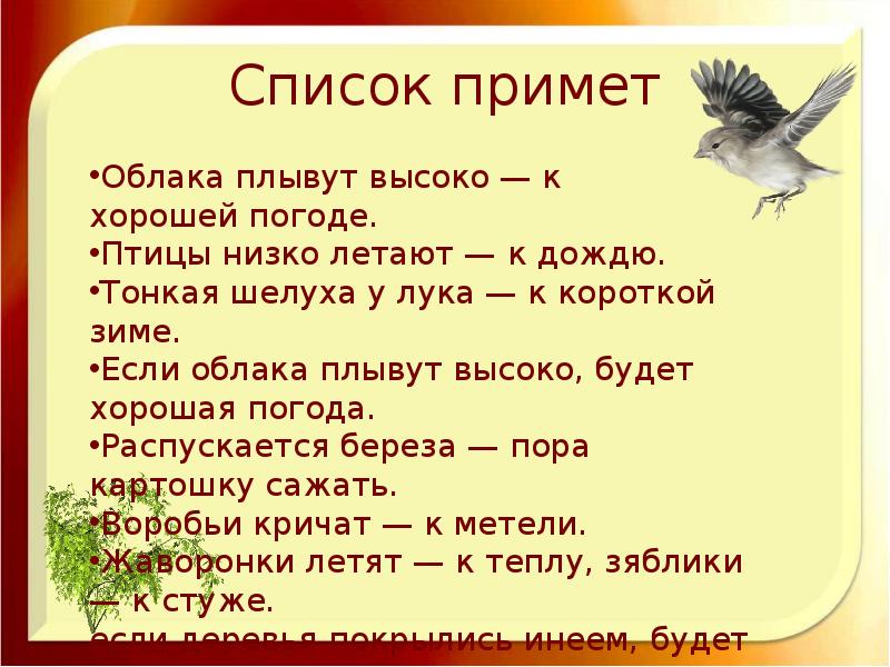 Хорошие приметы