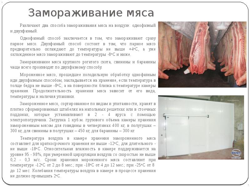 Замораживание мяса
Различают два способа замораживания мяса на воздухе: однофазный и Замораживание мяса
Различают два способа замораживания мяса на воздухе: однофазный и