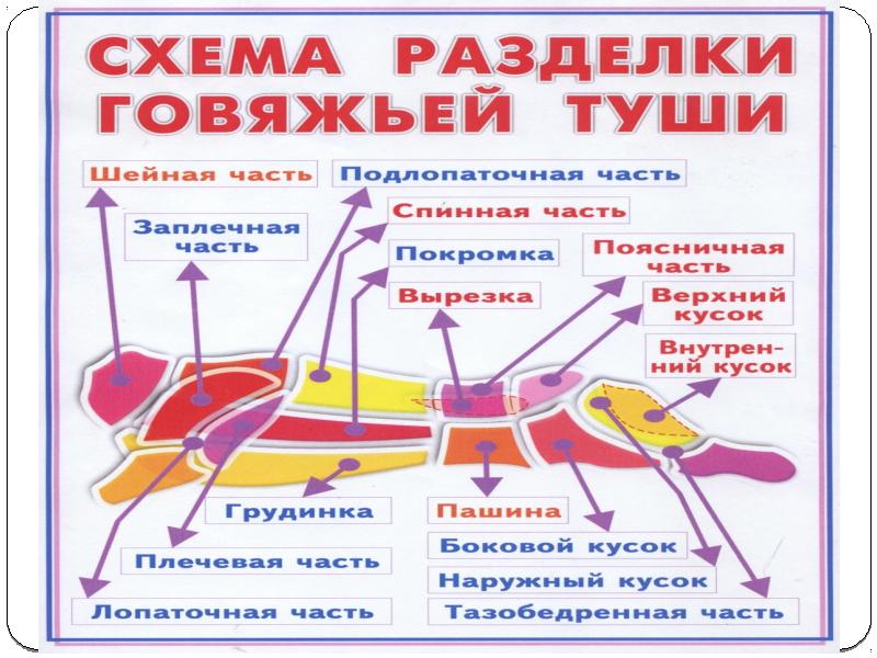 Организация рабочего места презентация