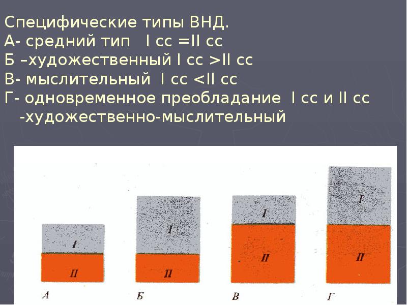 Специфические типы ВНД. А- средний тип I сс =II сс Специфические типы ВНД. А- средний тип I сс =II сс