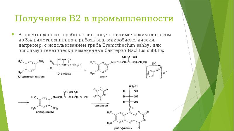 Технологическая схема получения витамина в2