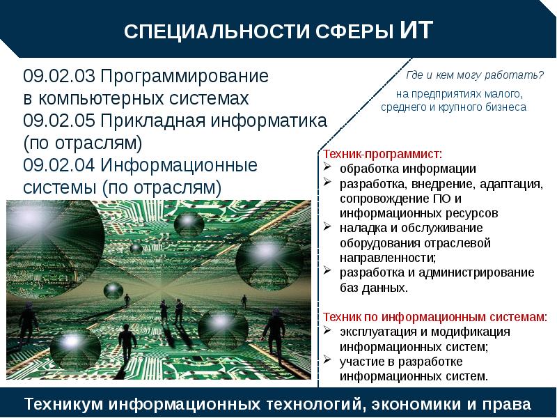 38.02 специальности. Специальности в сфере программирования. Специальности в it сфере. Сферы информационных технологий. Информационные системы по отраслям специальность.