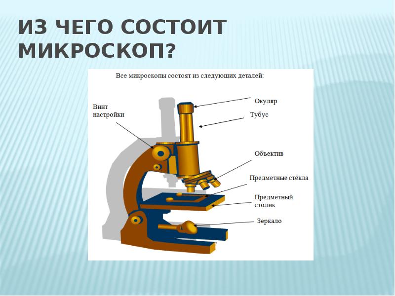 Из чего состоит микроскоп схема