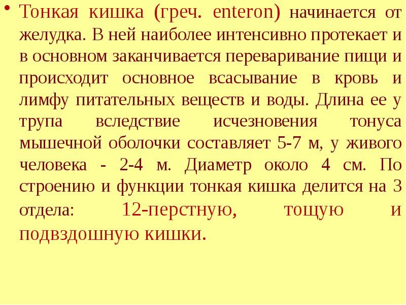 Наиболее интенсивно дышат. Наиболее интенсивно всасывание питательных веществ происходит в. Тонкая система. Элидел всасывается в кровь.