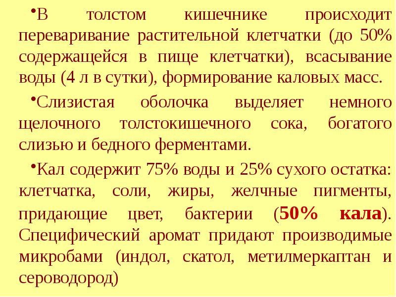В толстом кишечнике происходит интенсивное всасывание. В толстом кишечнике не происходит. где происходит переваривание растительной клетчатки. что происходит в толстом кишечнике. формирование каловых масс в толстом кишечнике.
