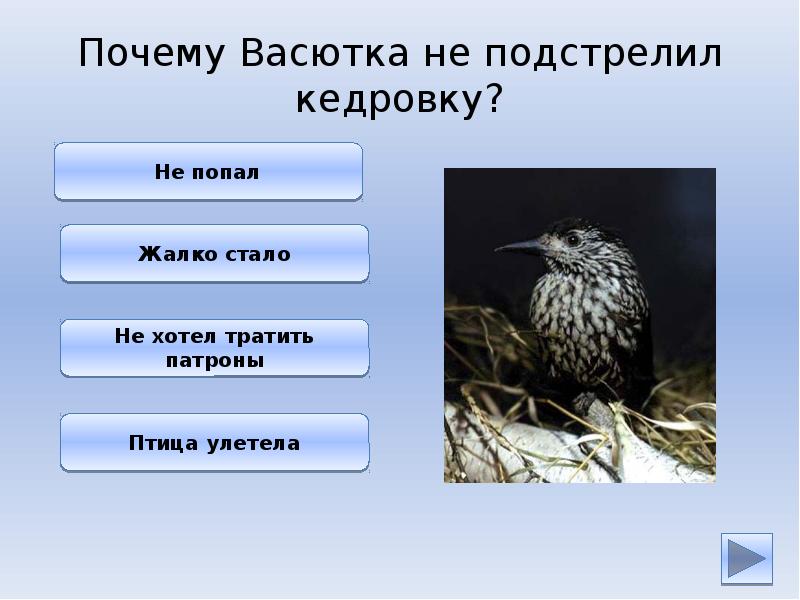 Какую птицу первой увидел васютка васюткино. Черты характера Васютки. Таблица черты характера Васютки. Кого подстрелил Васютка. Сообщение о Васютке.