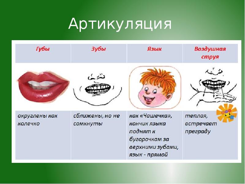 Артикуляция картинки для детей