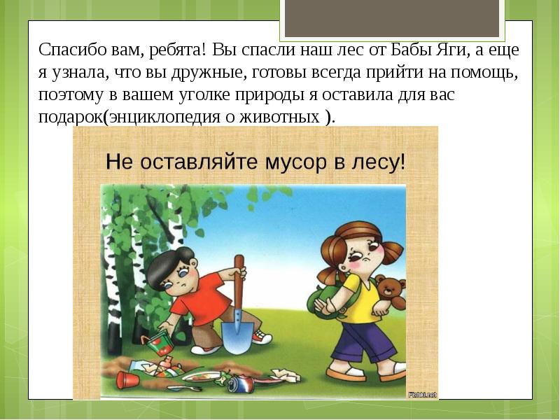 Краткосрочный проект по экологии в старшей группе