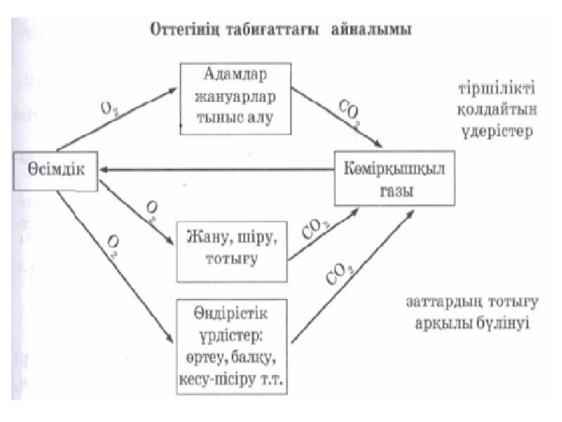 Табиғаттағы су айналымы презентация