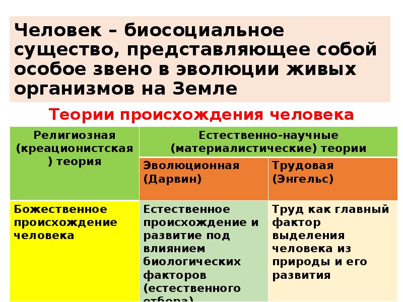 Человек биосоциальное существо план