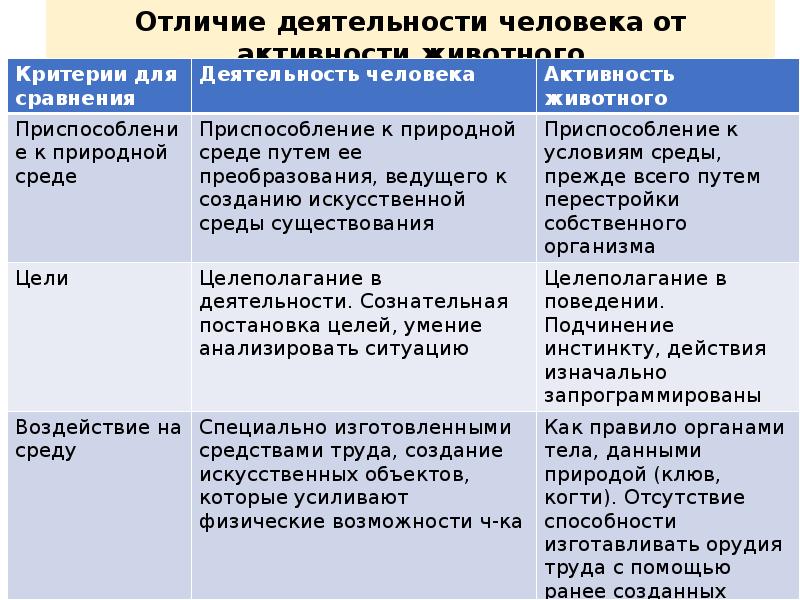 Отличие деятельности человека от деятельности животных. Отличие деятельности человека от активности животных. Отличие деятельности человека от активности животных таблица. Отличия деятельности человека от животного. Различия деятельности человека и активности животного.