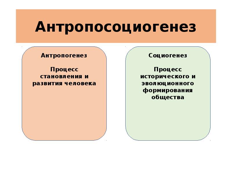 Презентация по обществознанию 6 класс человек существо биосоциальное