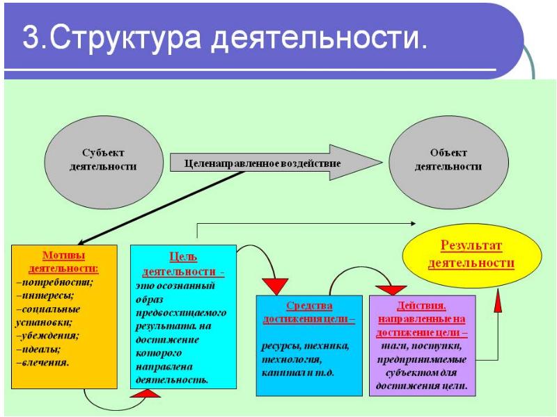 Общая структура презентации состоит из