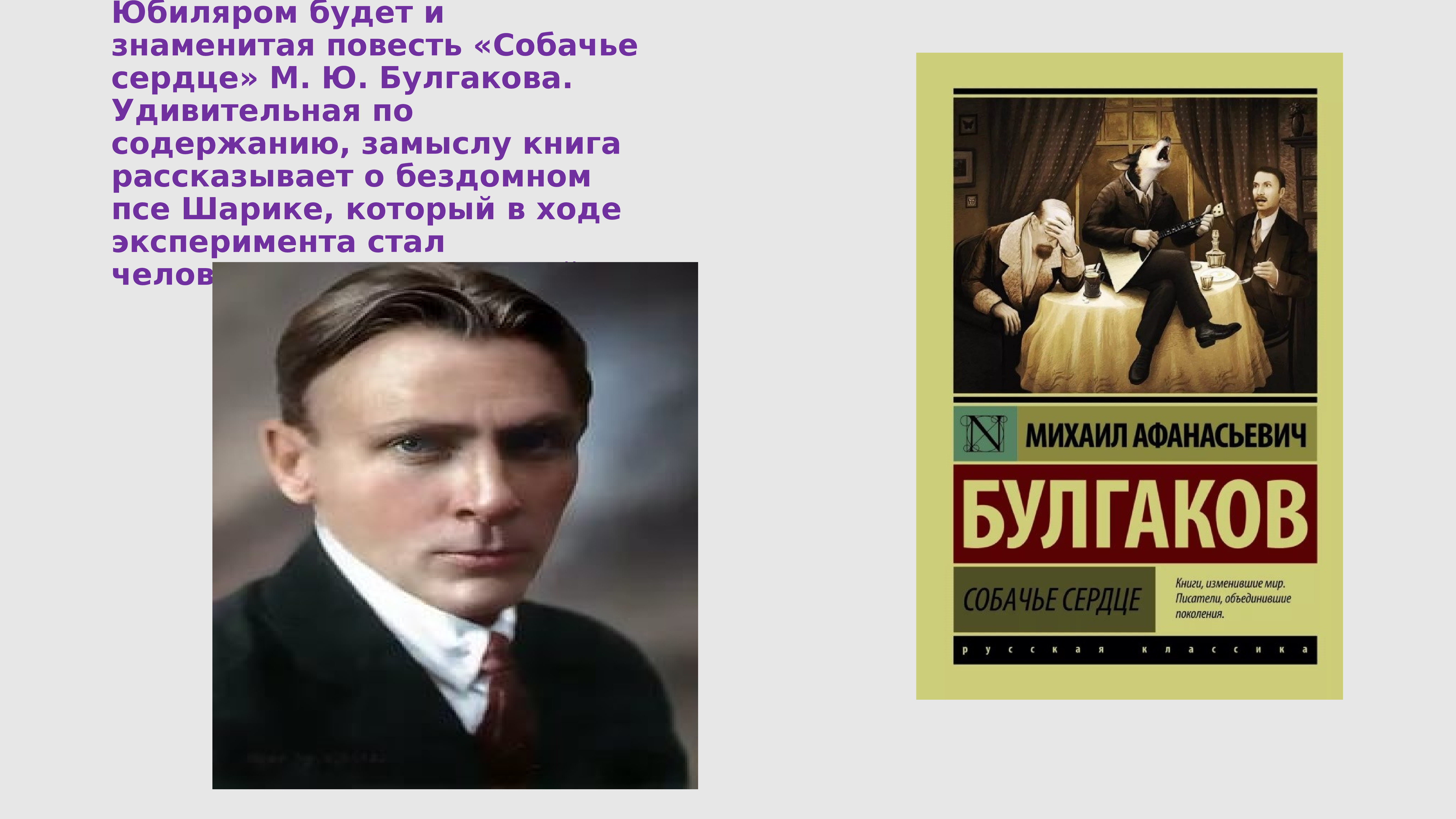 М.А. Булгакова «Собачье сердце»