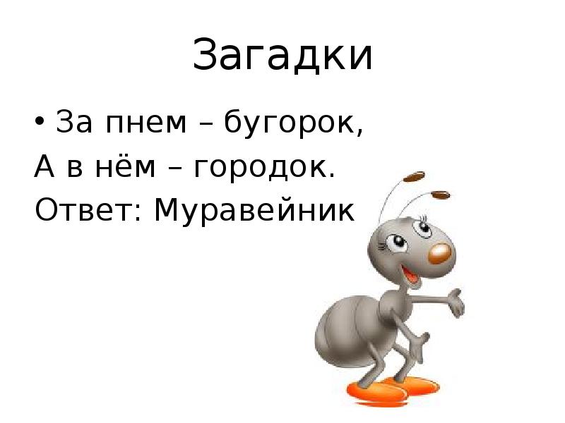 Архитектура изображенная на схеме одношинная единошинная двухшинная принстон еллоуская