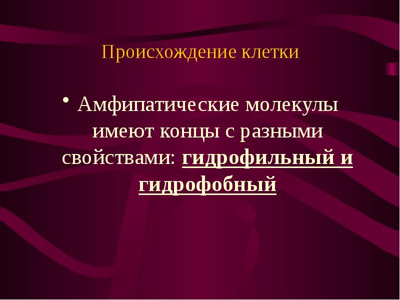 Происхождение клетки. Амфипатические вещества. Гидрофобные и гидрофильные амфипатические. Амфипатические молекулы.