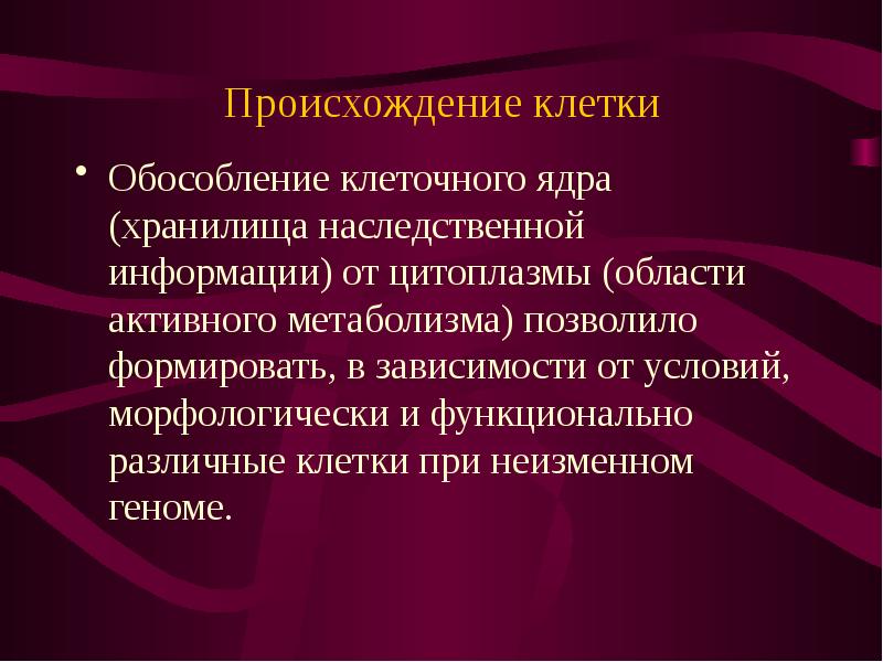 Единство происхождения клеточных организмов. Происхождение клетки. Возникновение клеточной организации. Возникновение клеточной организации живого. Происхождение ядра клетки.