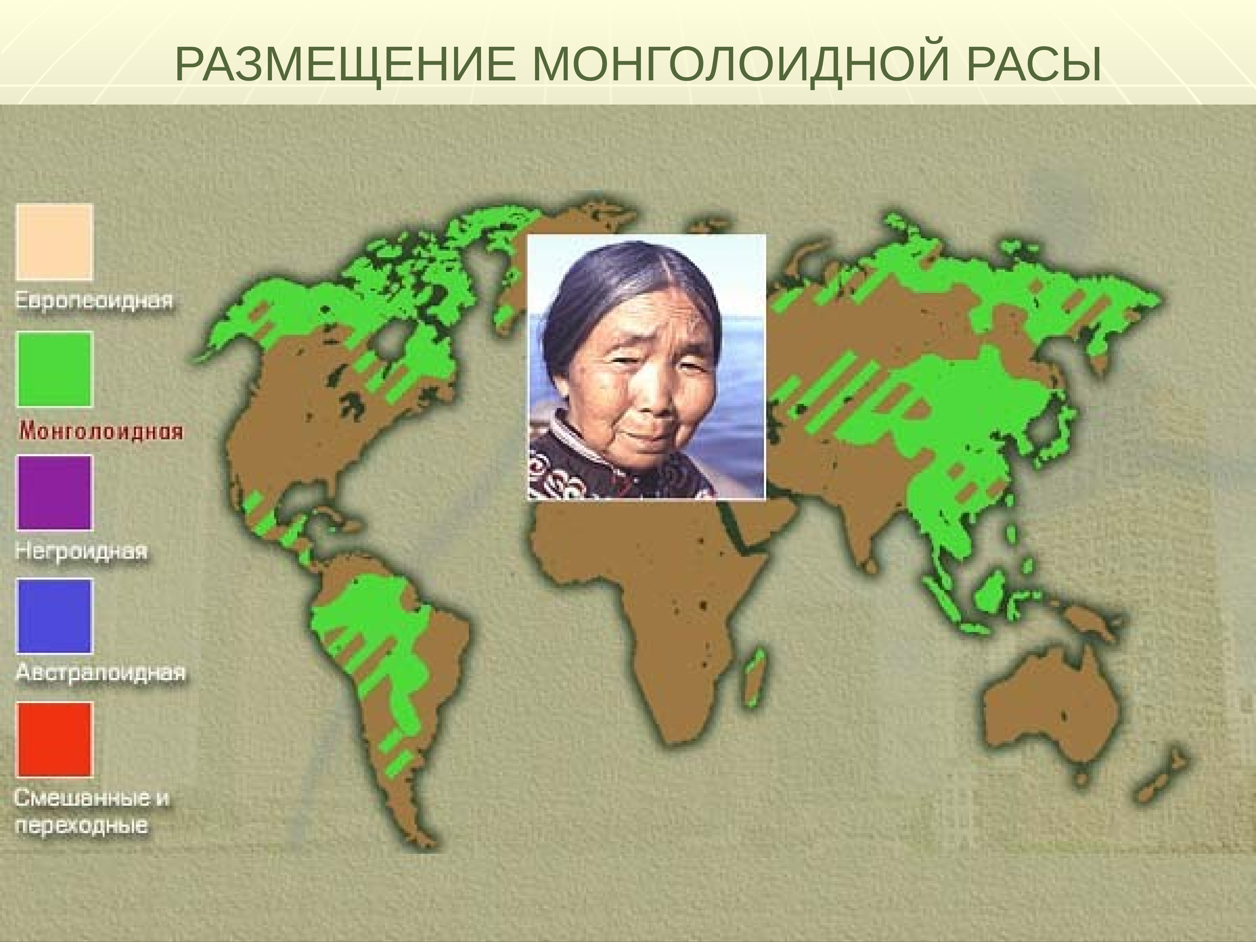 Какая раса в северной америке. Ареал обитания монголоидной расы. Первоначальный ареал монголоидной расы. Ареалмонголоилной расв. Размещение монголоидной расы.