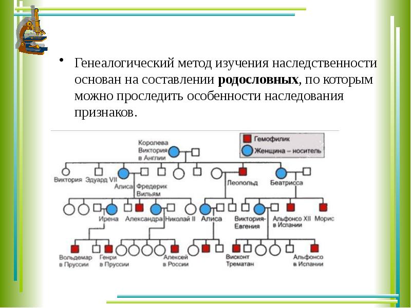 Проект изучение наследования признаков леворукости в семье