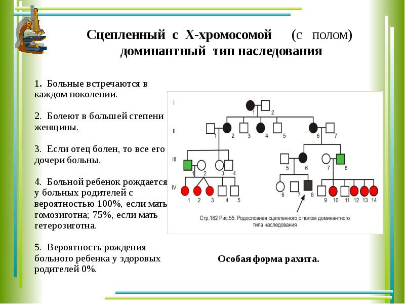 Презентация решение задач на сцепленное с полом наследование 10 класс