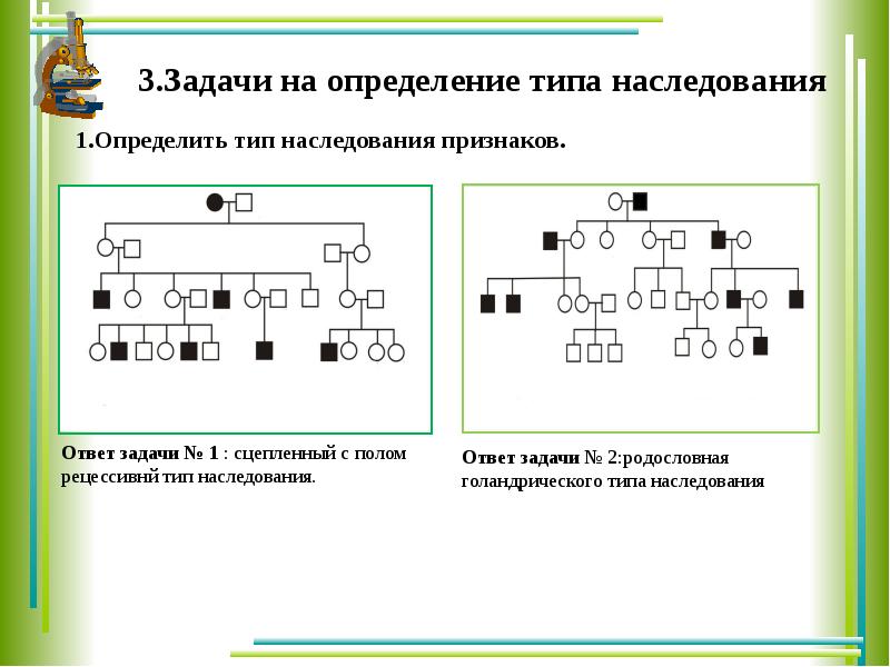 Решение задач по генетике с объяснением и ответами на все типы презентация