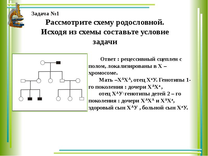 Решение задач по генетике с объяснением и ответами на все типы презентация