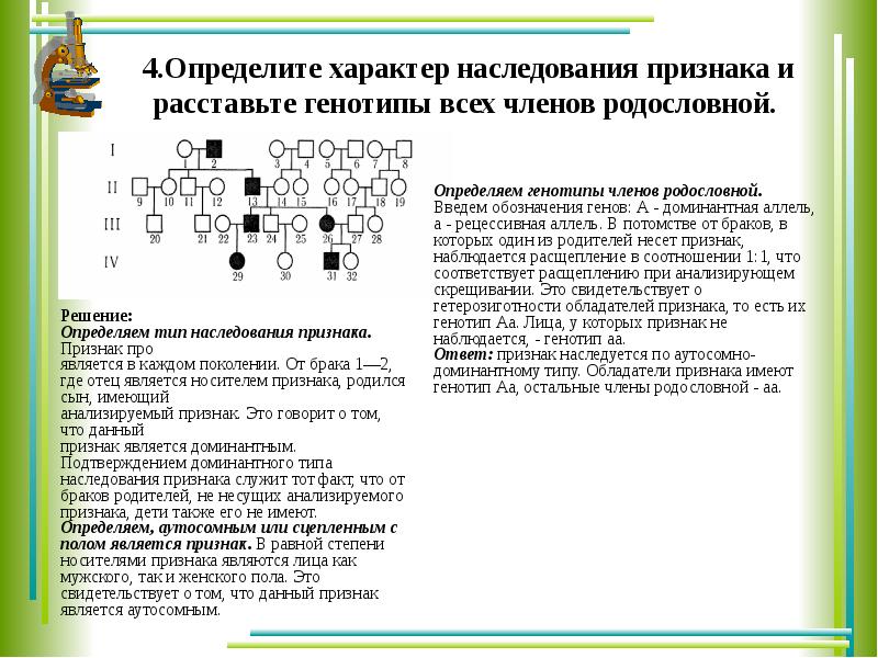 Изучите схему и определите тип наследования признака поясните определите генотипы 1234