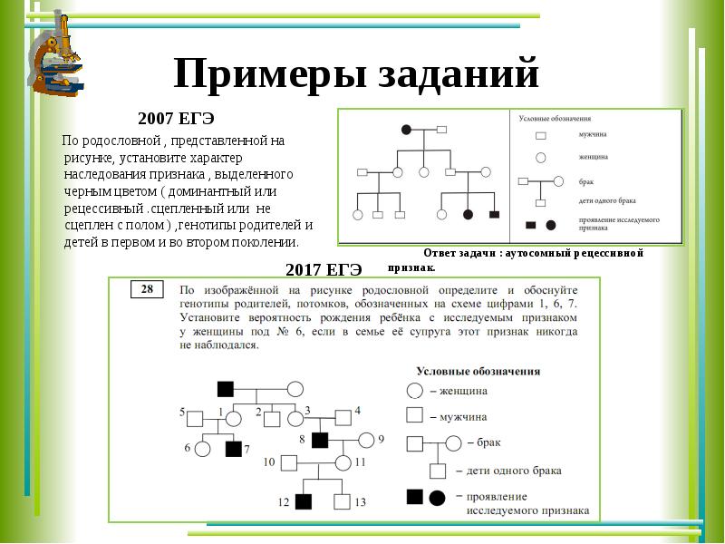 Решение задач по генетике с объяснением и ответами на все типы презентация