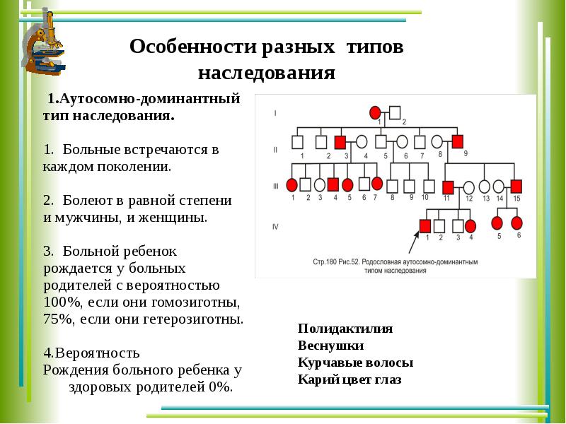 Решение задач по генетике с объяснением и ответами на все типы презентация