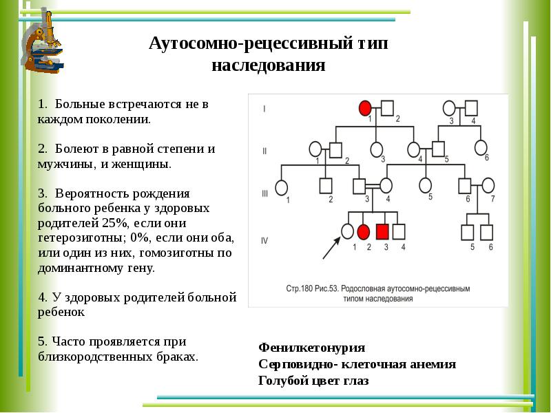 По изображенной на схеме родословной человека определите вероятность