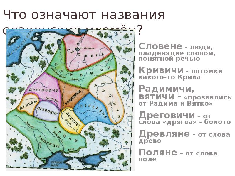 Кривичи жили. Вятичи Кривичи Поляне древляне. Вятичи дреговичи. Поляне древляне дреговичи радимичи Вятичи Кривичи. Вятичи и Кривичи.