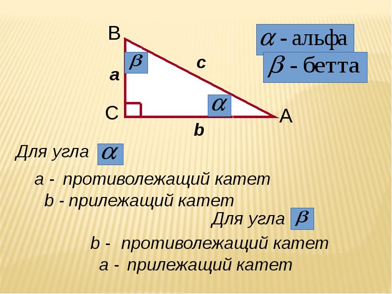 Синус косинус тангенс котангенс угла б. Синус косинус тангенс. Синусы и косинусы углов. Косинус тангенс и котангенс угла. Синус косинус тангенс угла.