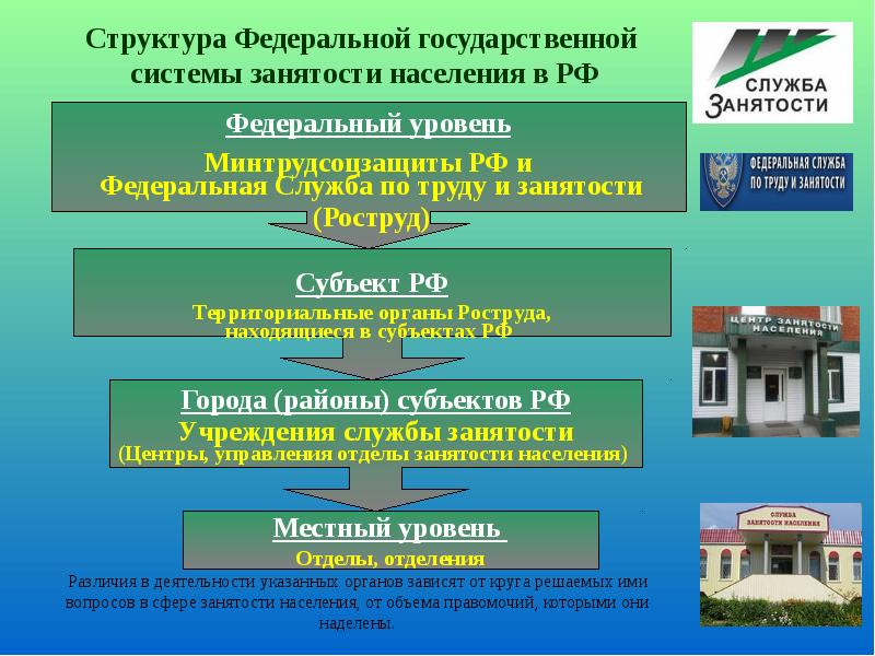 Презентация по центру занятости