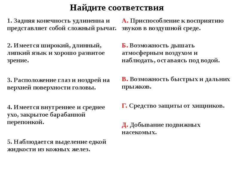 Имеются внутренние. Задняя конечность удлинена и представляет собой сложный рычаг. Приспособление к восприятию звуков в воздушной среде.