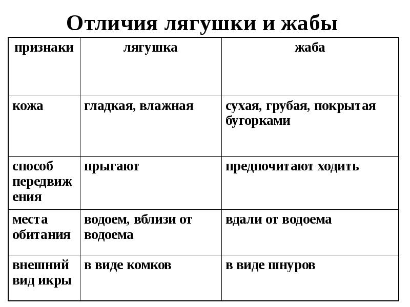 жаба и лягушка отличия и сходство. сходство лягушки и жабы. сходство лягушки и жабы. зеленые страницы лягушка и жаба сходство и различие. жаба и лягушка отличия.