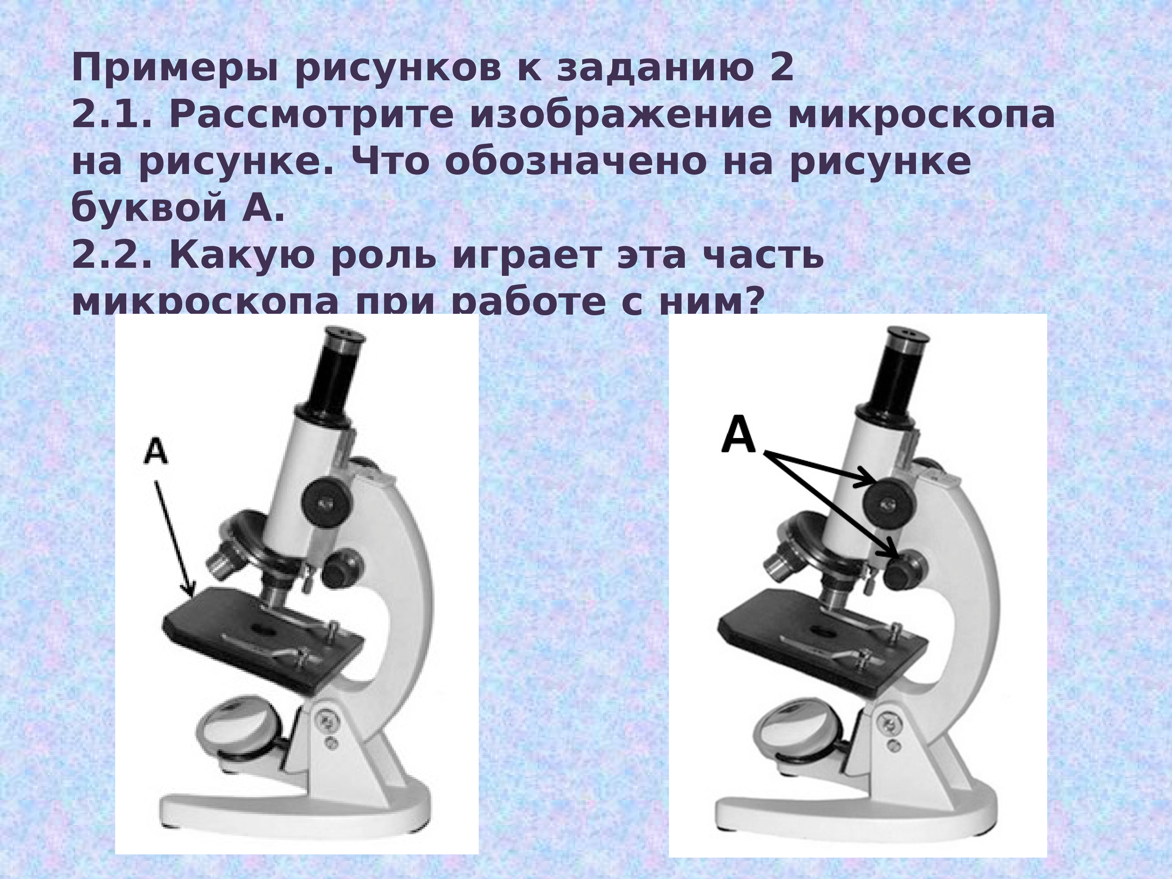 Какая деталь микроскопа обозначена буквой а впр. Цифровой микроскоп 5 микроскоп ВПР 5 класс. ВПР 5 биология световой микроскоп. Части микроскопа ВПР биология 5. Детали цифрового микроскопа.