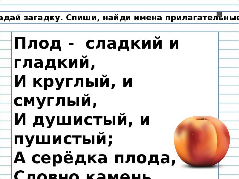 Плод сладкий и гладкий и круглый и Смуглый и пушистый и душистый а.