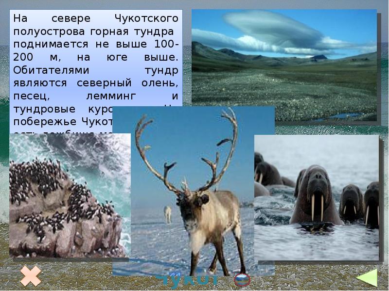 Дайте оценку природных условий на севере и юге дальнего востока по плану климат