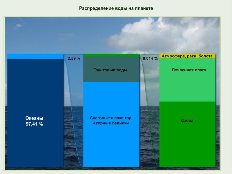 Круговорот веществ основа целостности биосферы 9 класс презентация