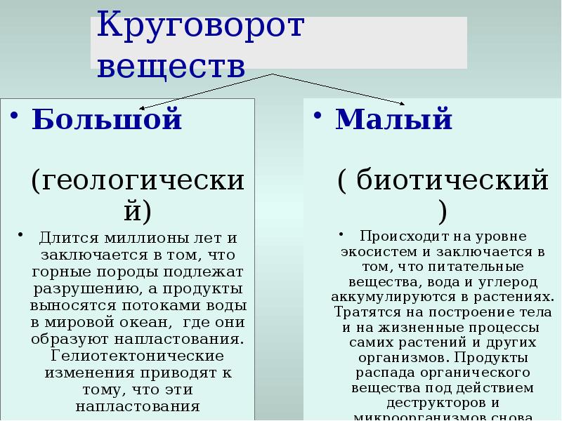 Презентация круговорот веществ в биосфере 9 класс. Презентация круговорот веществ в биосфере 9 класс