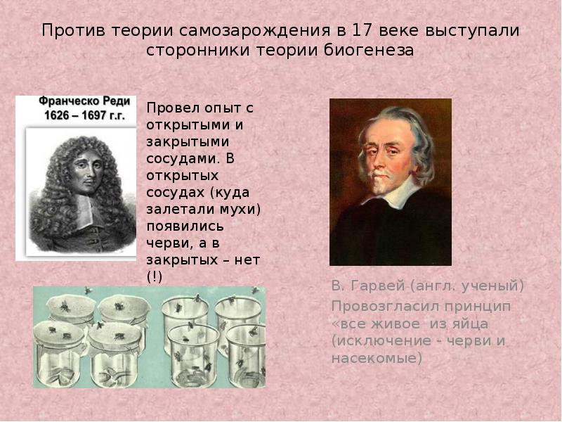 Теория самозарождения презентация