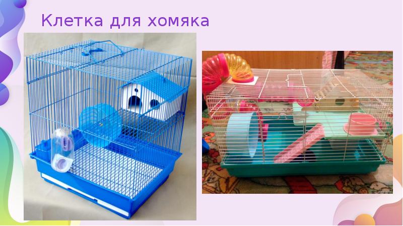 Клетка для хомяка Клетка для хомяка