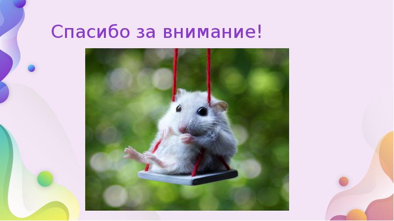 Спасибо за внимание! Спасибо за внимание!