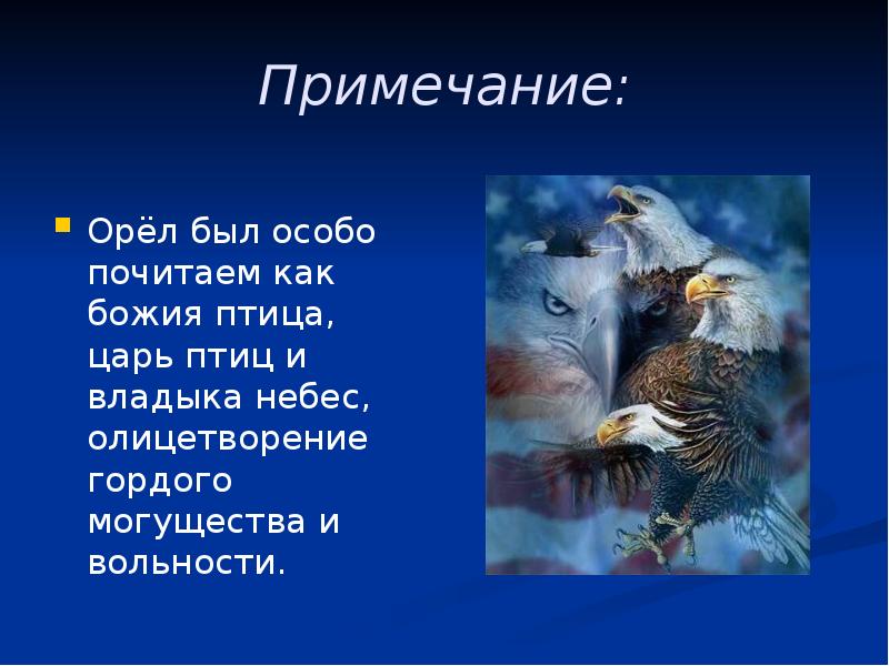 Орел сизокрылый всем птицам царь. Орел всем птицам царь. Кто царь птиц. Какая птица царь неба. Кто является королём птиц.