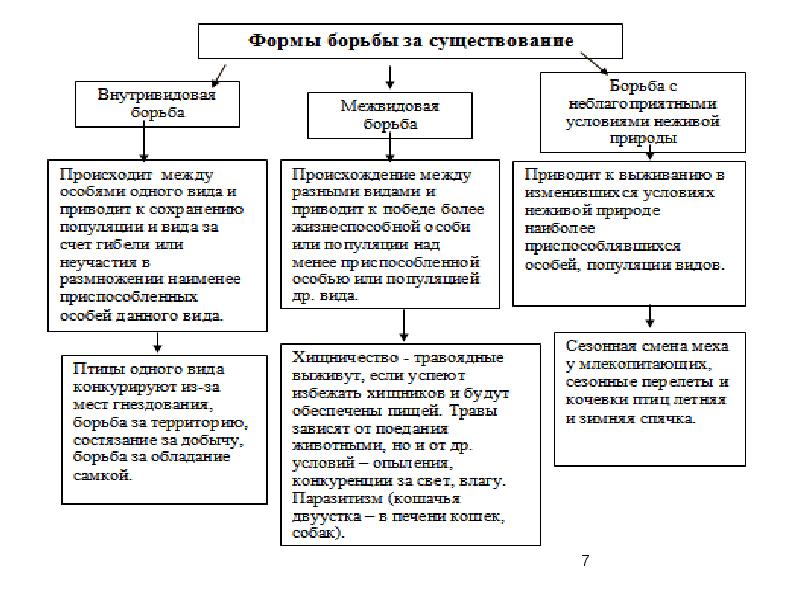 Борьба за существование и естественный отбор движущие силы эволюции 9 класс презентация