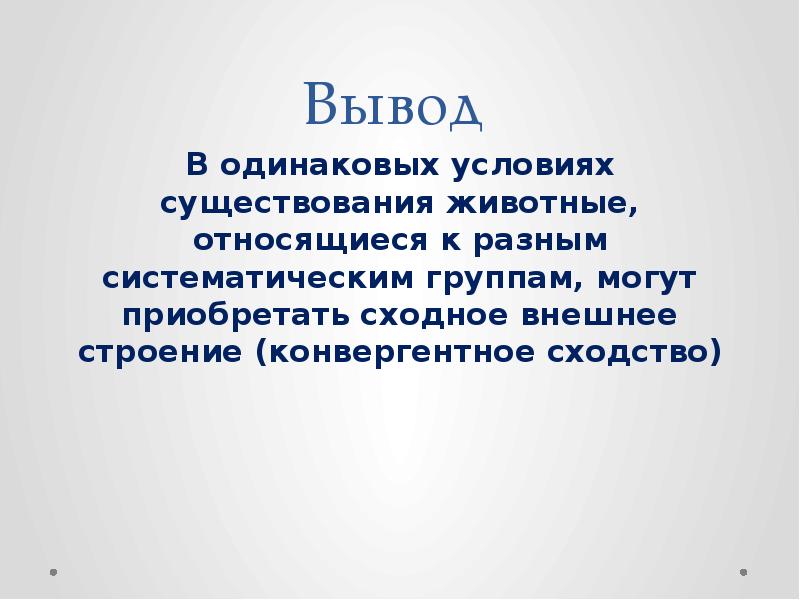 Вывод сходстве. Условия существования животных. Конвергентное сходство. Предельные условия существования животных. Одинаковые условия.